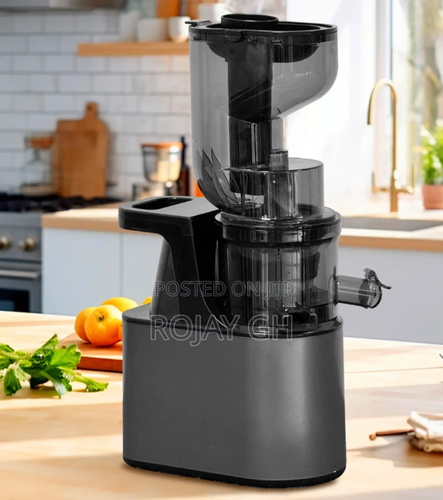 High Performance Gold Press Slow Juicer - Silver
