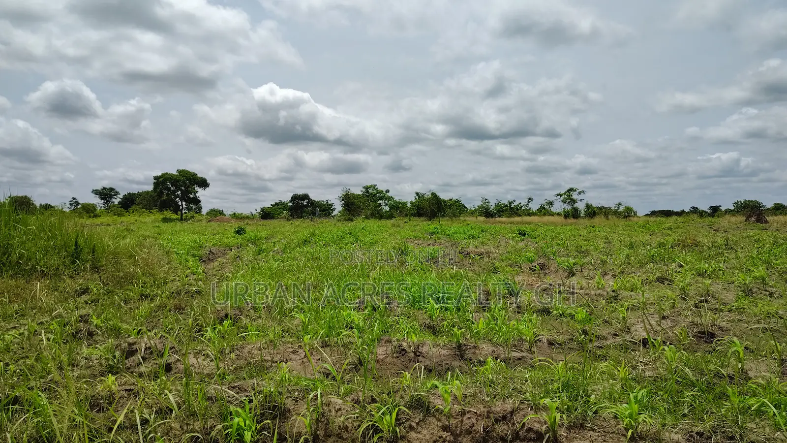 Volta Region, Akatsi Dist (Ave-dakpa) _ 5000+ Acres Farmland