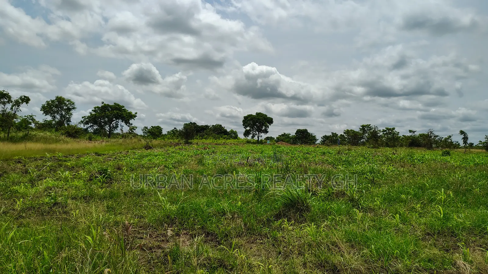 Volta Region, Akatsi Dist (Ave-dakpa) _ 5000+ Acres Farmland