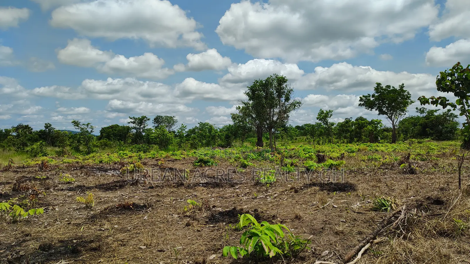Volta Region, Akatsi Dist (Ave-dakpa) _ 5000+ Acres Farmland