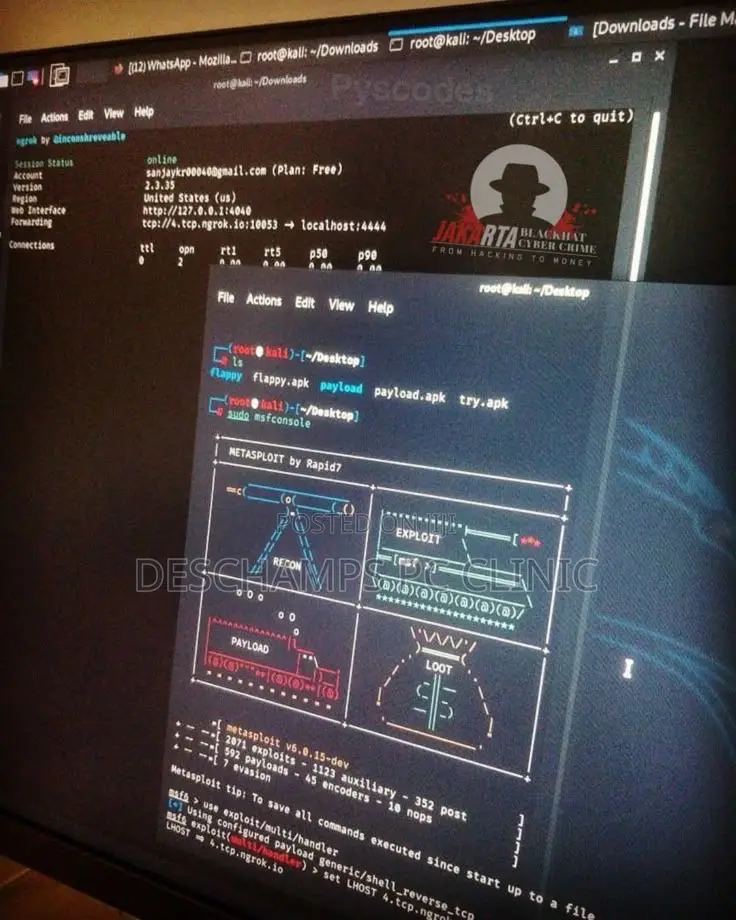 Kali Linux Installation