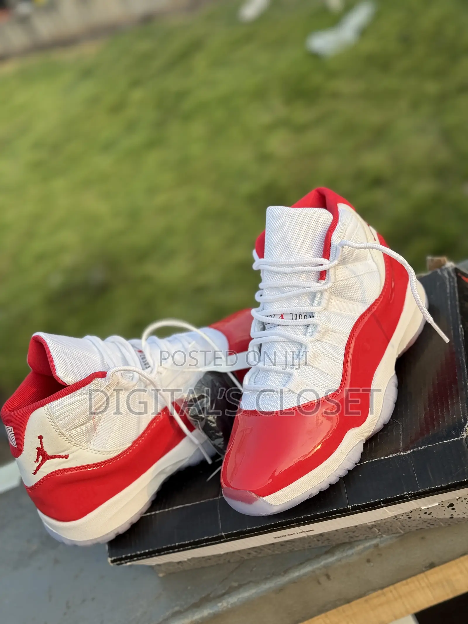 Brand New Jordan 11