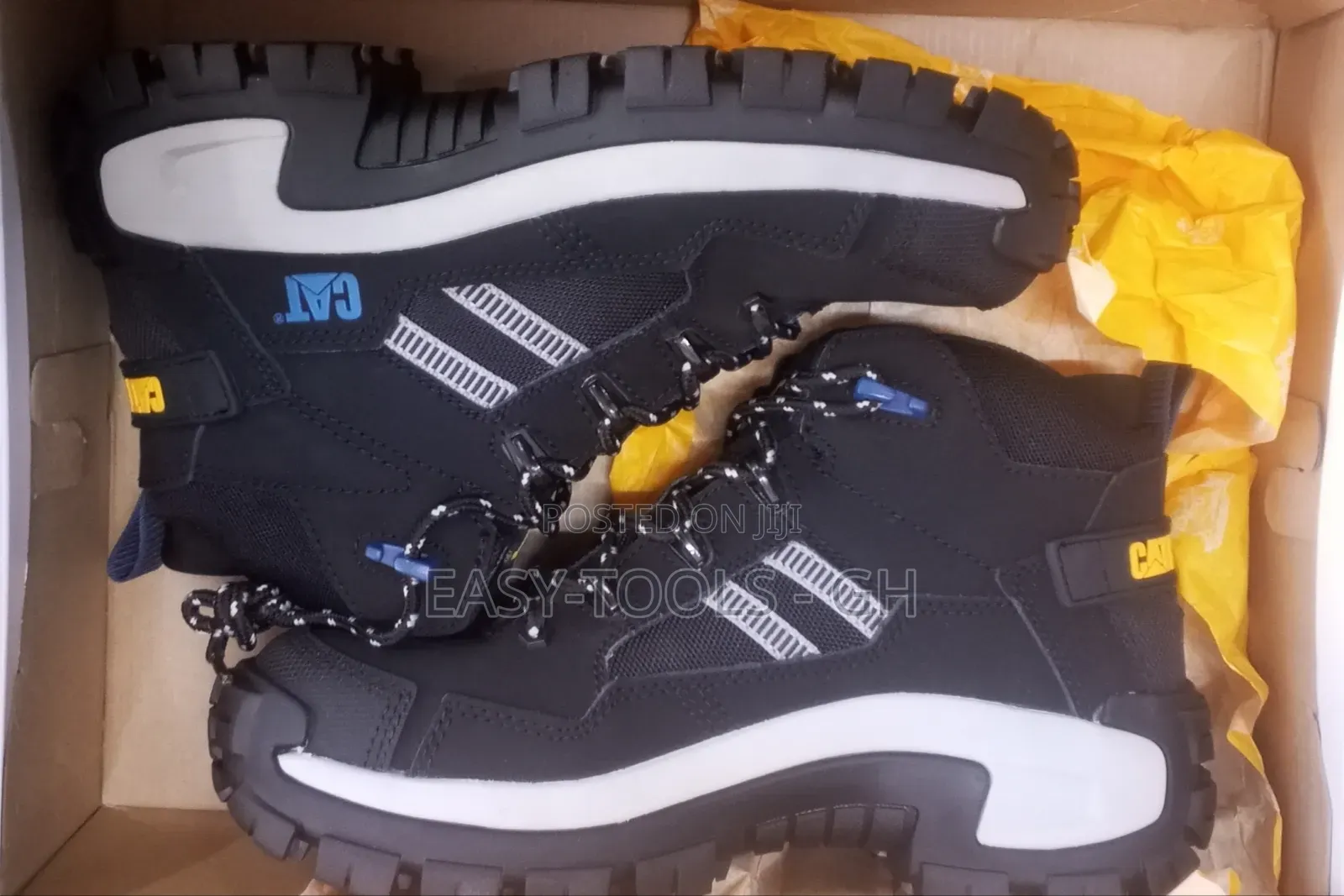 Cat Safety Shoes