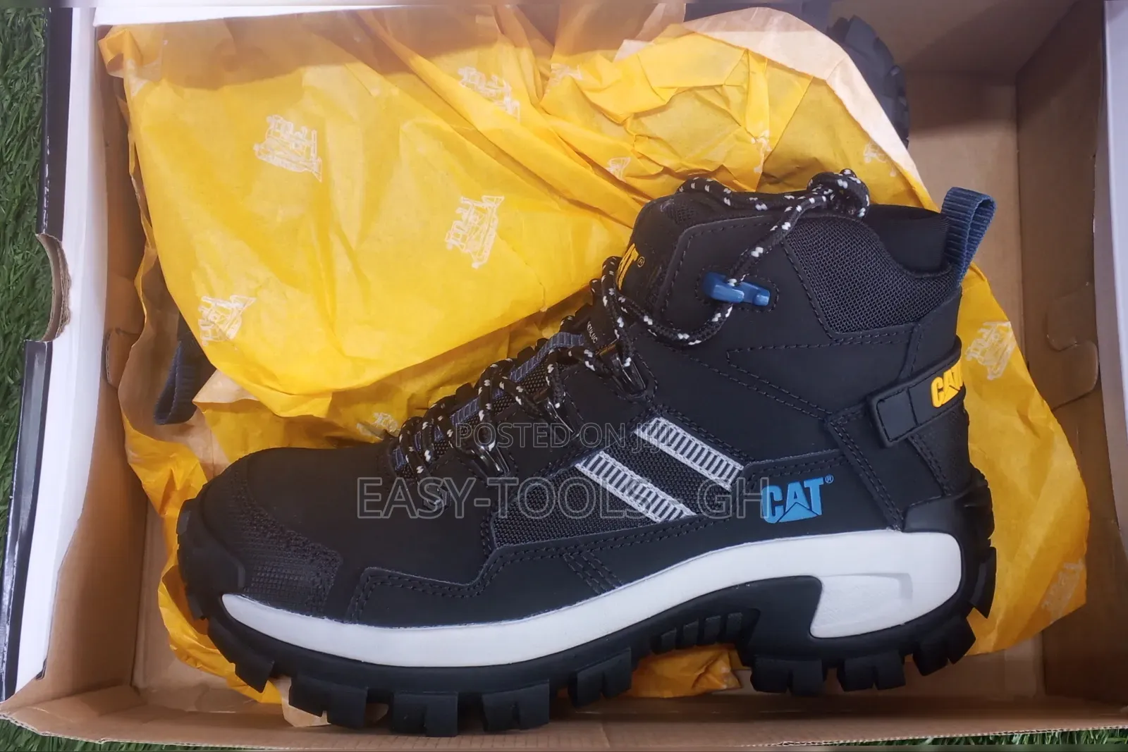 Cat Safety Shoes