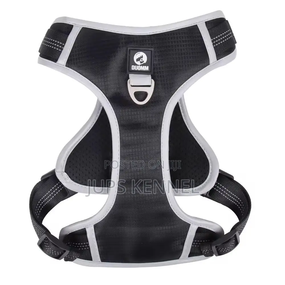 Dog Harness (Collar)