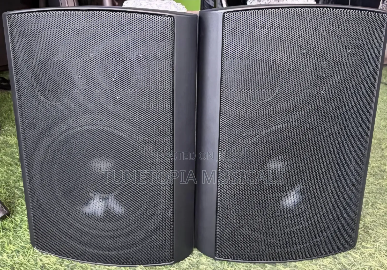 Ds Audio Tp603 Passive Wall Mount Speaker