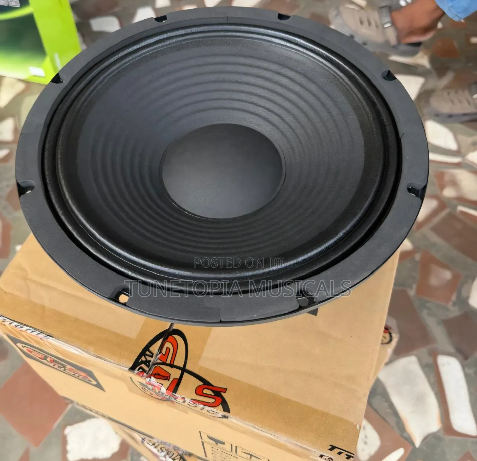 GLS Music 12-Inch 600-Watt Naked Professional Loudspeaker