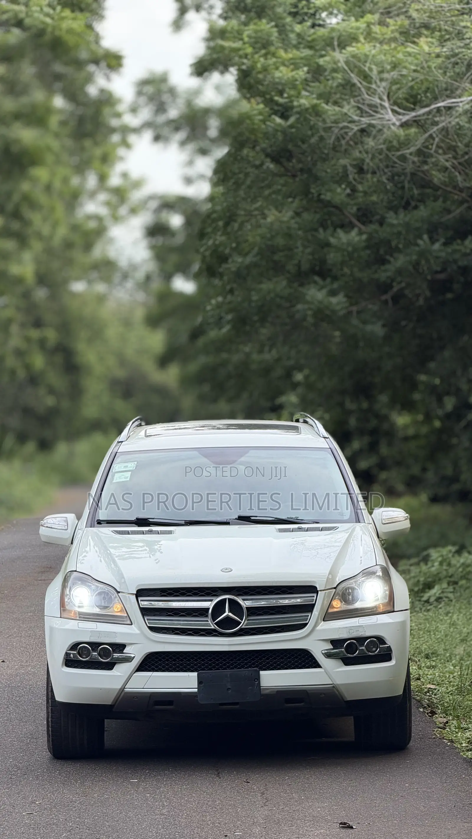 Mercedes-Benz GL-Class GL 450 2010 White