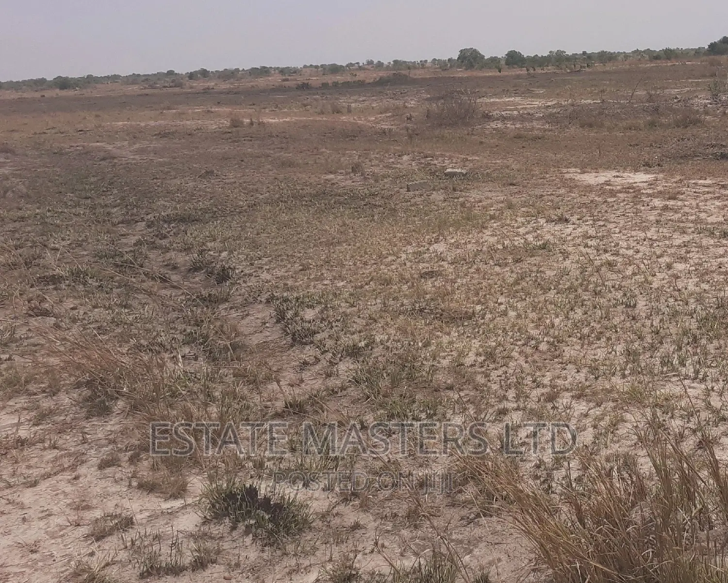 Invest in Land and Reap the Benefits
