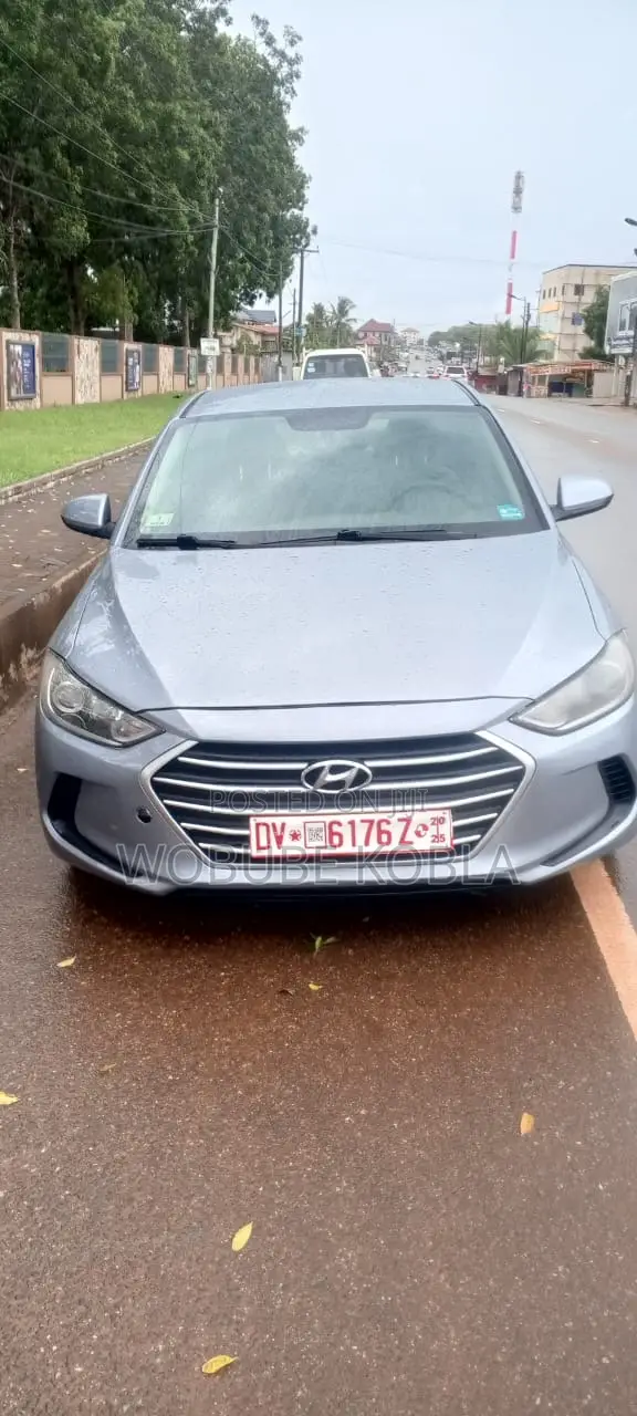 Hyundai Elantra 2017 Gray