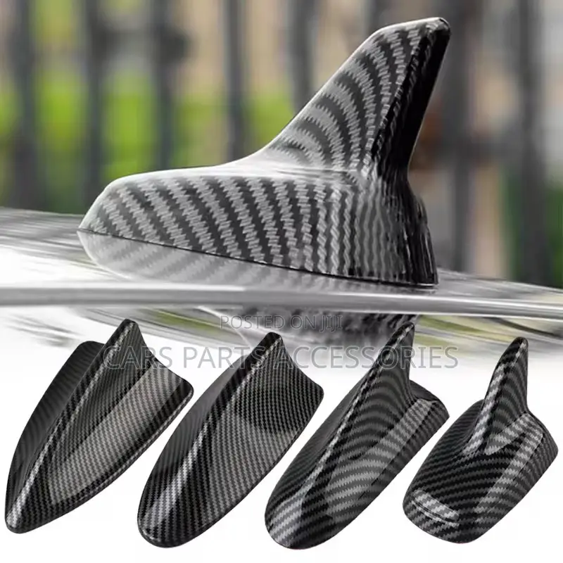 Fiber Car Shark for All Cars