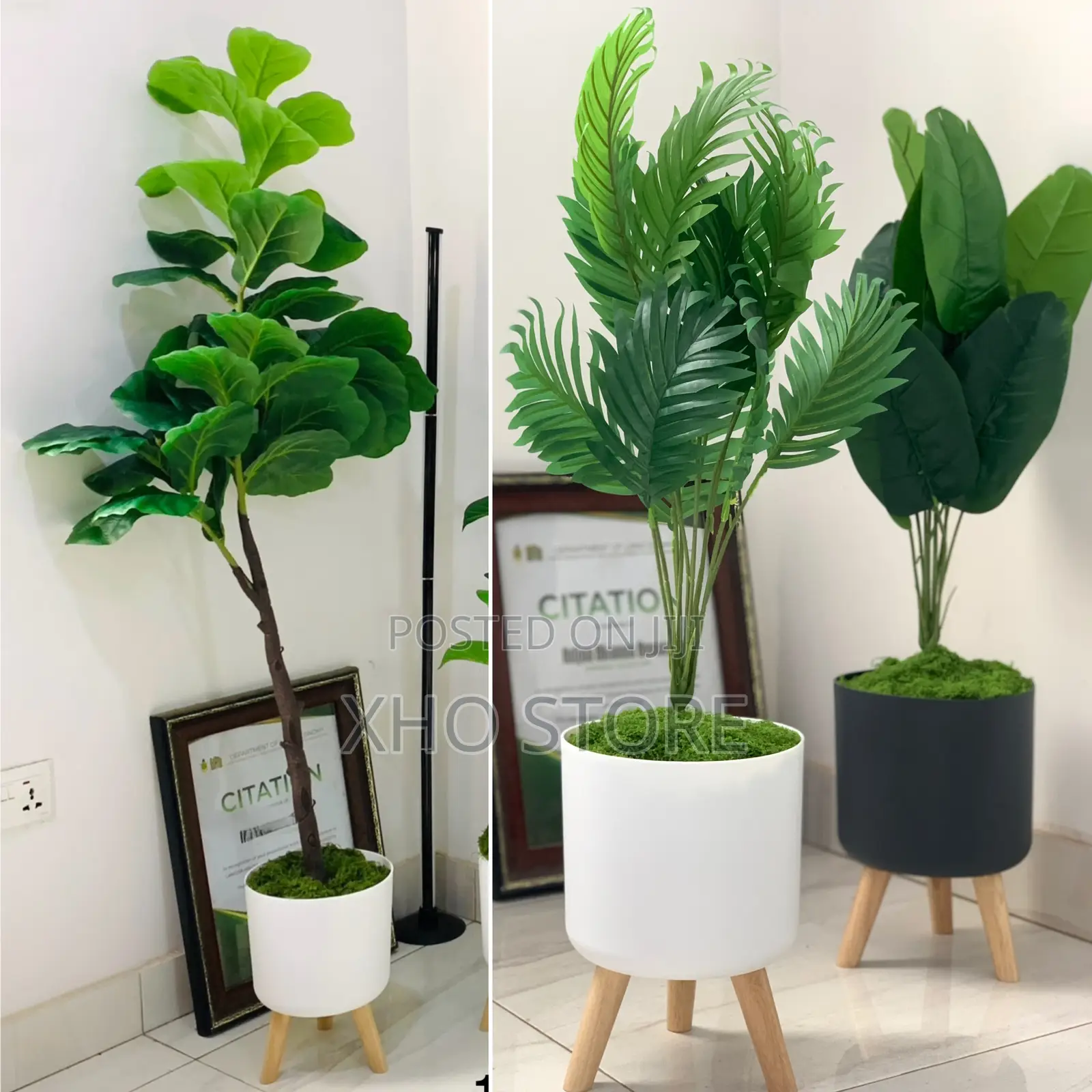 Flower Pot, Flowers And Potted Plant Curated For Modern Living Spaces