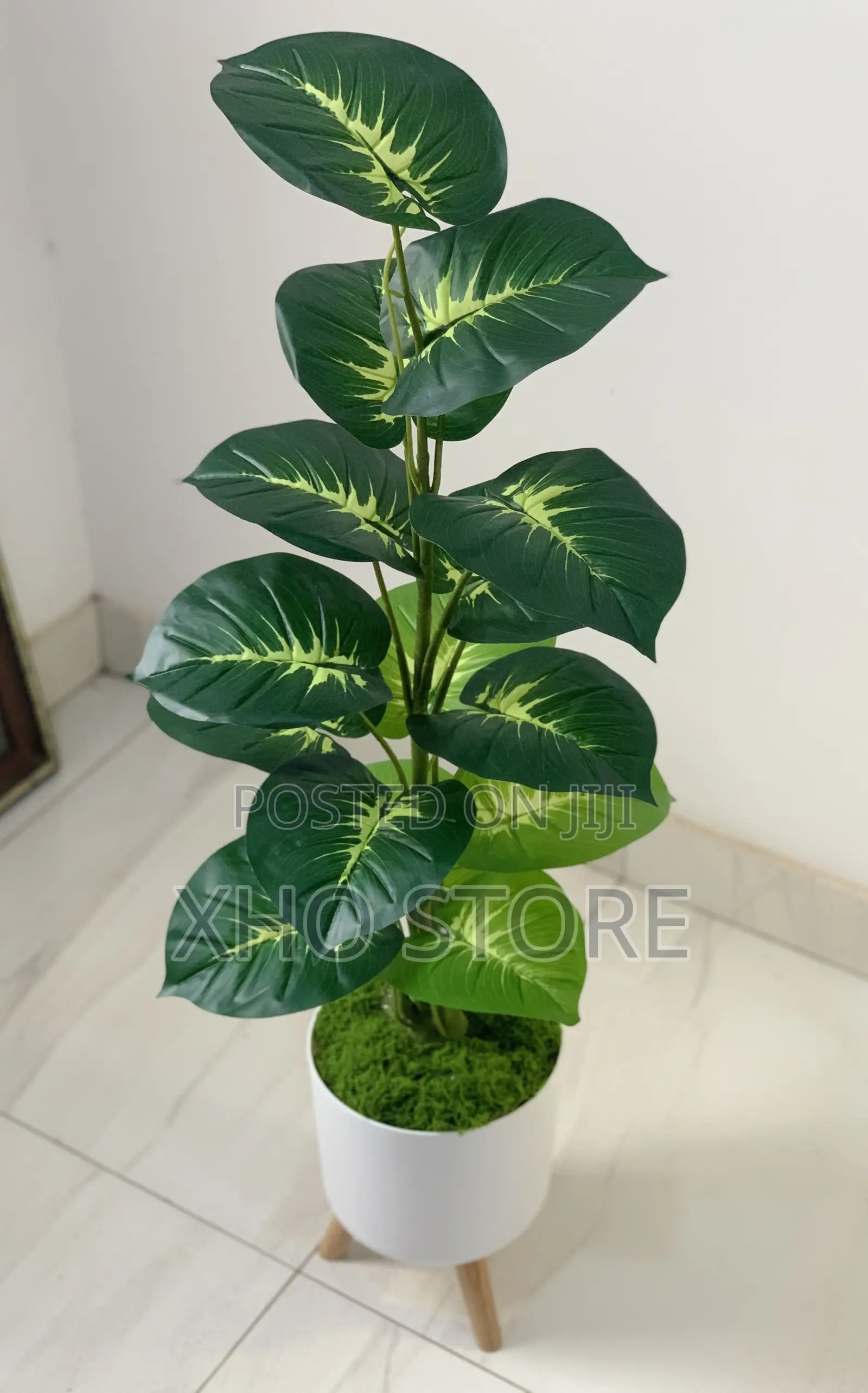 Flower Pot, Flowers And Potted Plant Curated For Modern Living Spaces