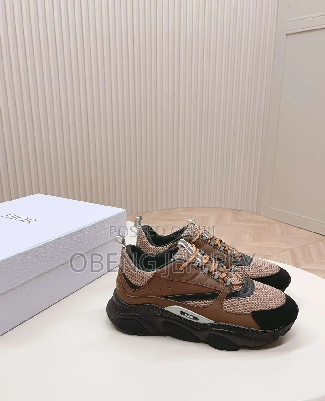 Original Dior B22 Brown