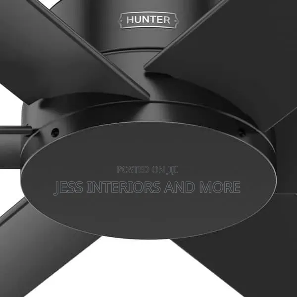 Hunter 52 Inch Outdoor or Indoor Ceiling Fan