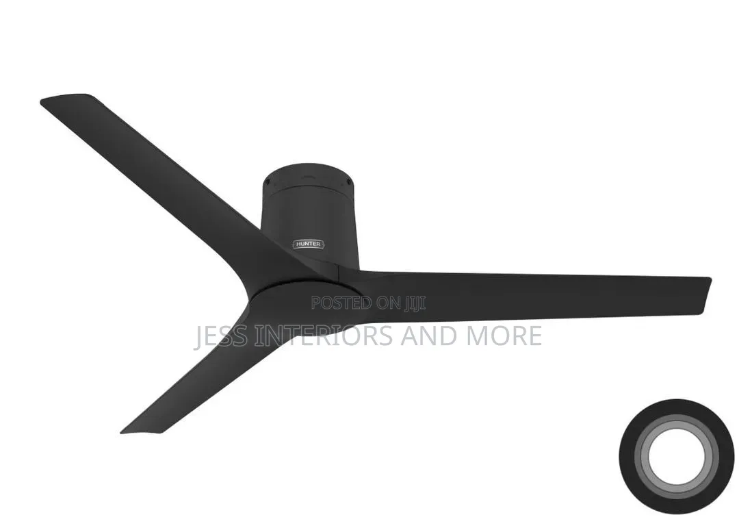 Hunter 52-Inch Ceiling Fan With Handheld Remote Control
