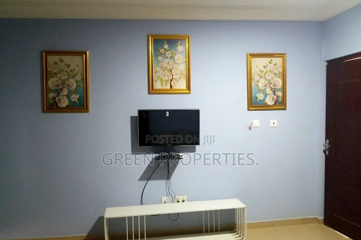 Furnished 1bdrm Apartment in Green Properties, Martime University Area
