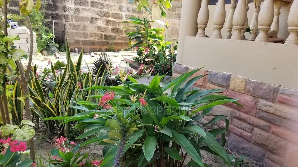 Furnished 1bdrm Apartment in Green Properties, Martime University Area