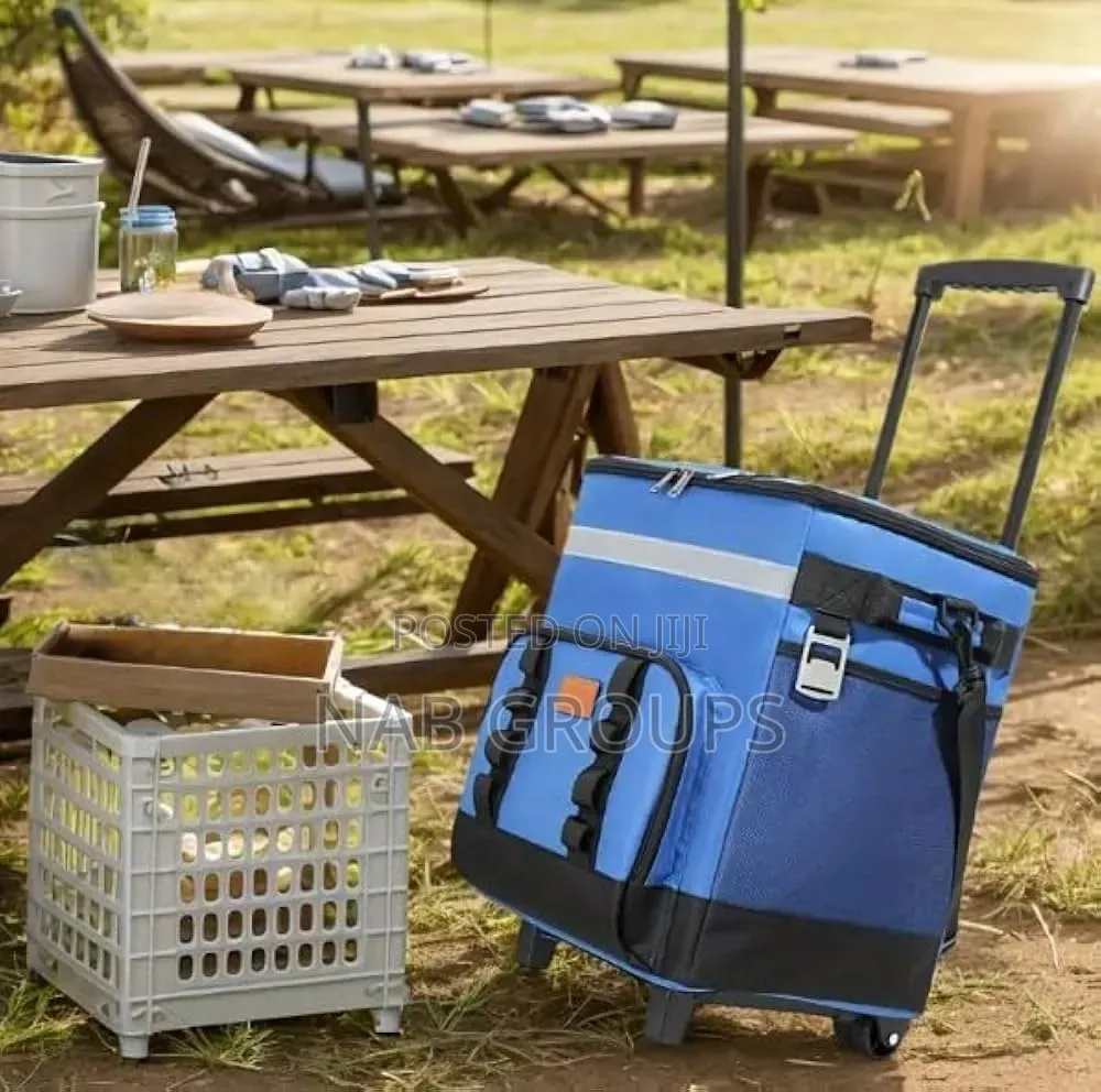 Large Insulated Picnic Bag