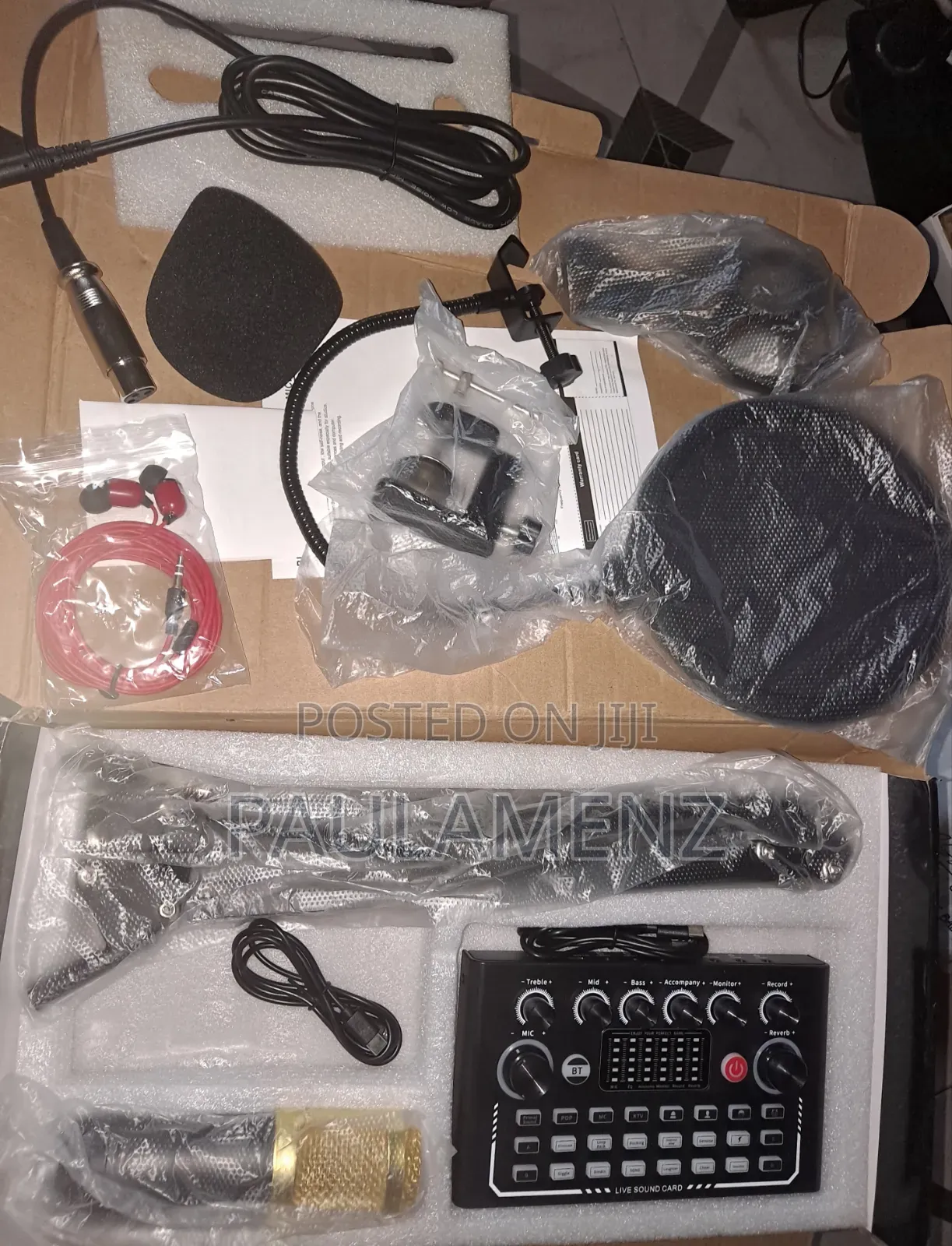 Legendary Vocal Condenser Microphone