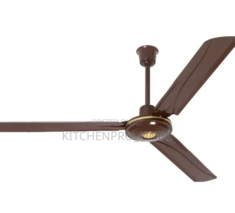 Ceiling Fan (Long Blade)