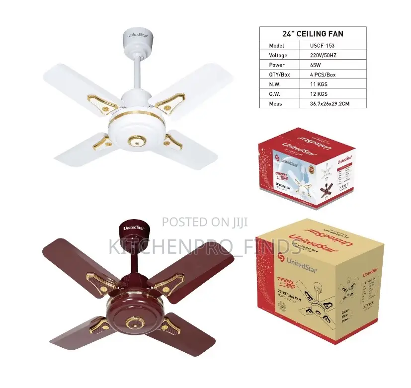 Modern Ceiling Fan (Short Blade)