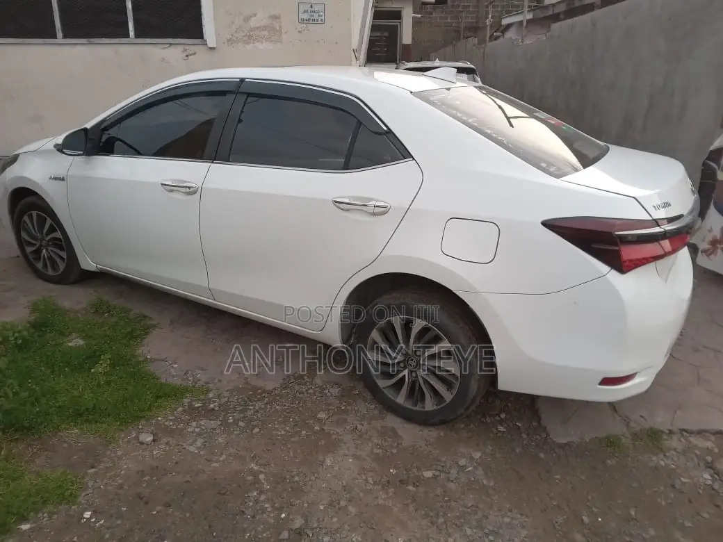 Toyota Corolla Hybrid 2023 White
