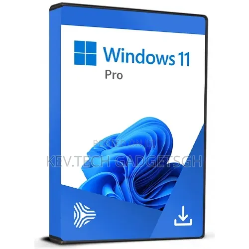 Windows 11 Pro Installation Service