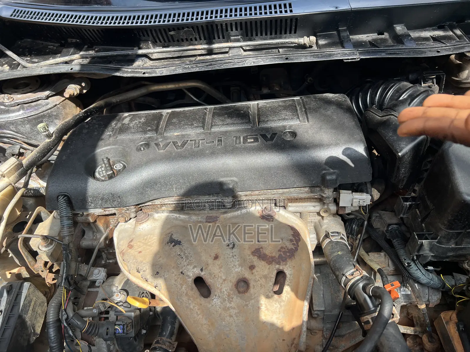Toyota Corolla LE 4dr Sedan (1.8L 4cyl 4A) 2011 Gray
