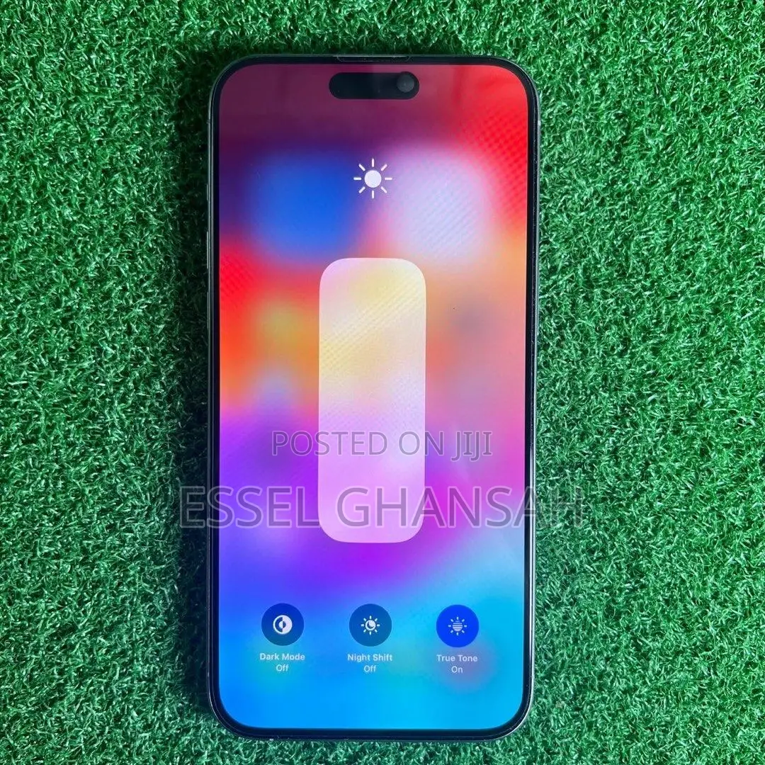Apple iPhone 15 Pro Max 256 GB Silver
