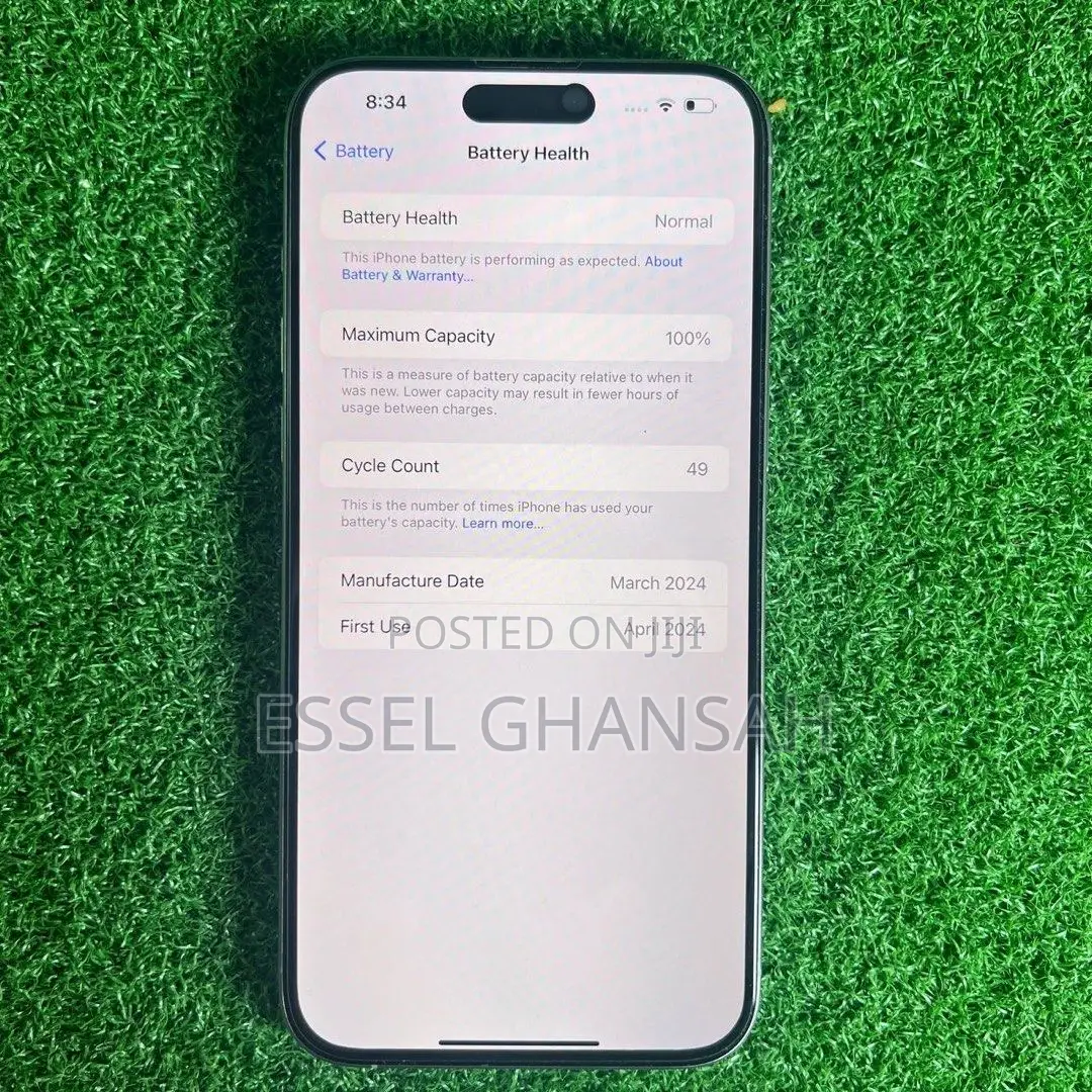Apple iPhone 15 Pro Max 256 GB Silver