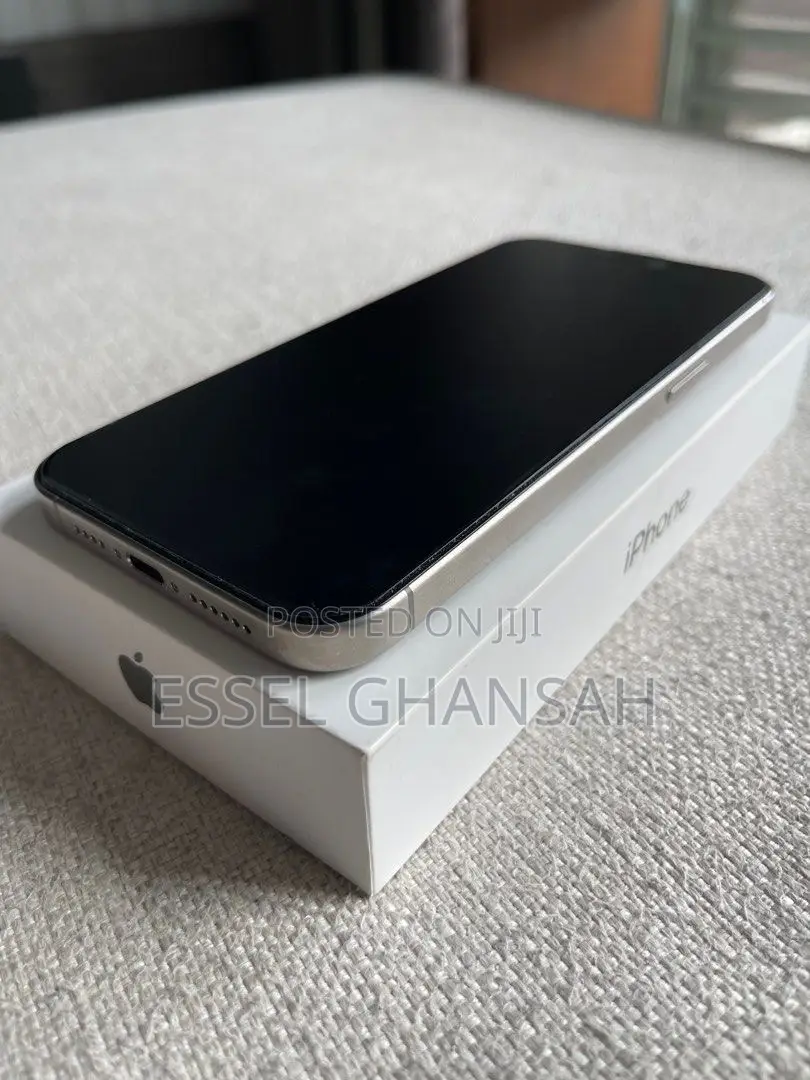 Apple iPhone 15 Pro Max 256 GB Silver