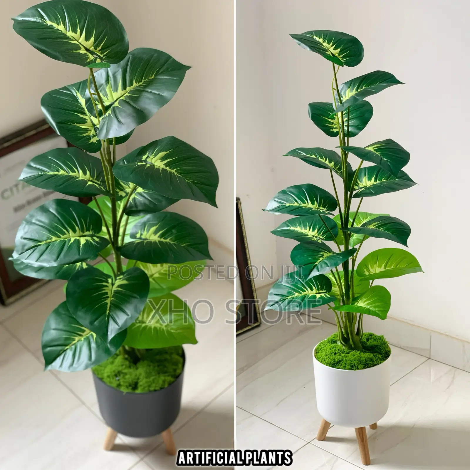Flower Pot, Flowers And Potted Plant Curated For Modern Living Spaces
