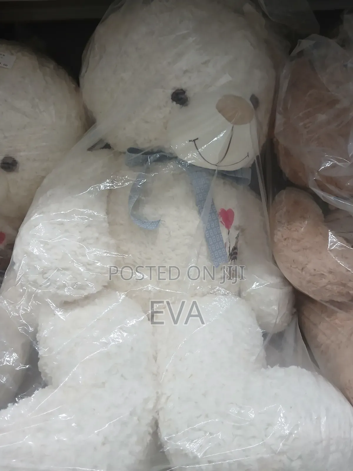 Plush Teddy Bear
