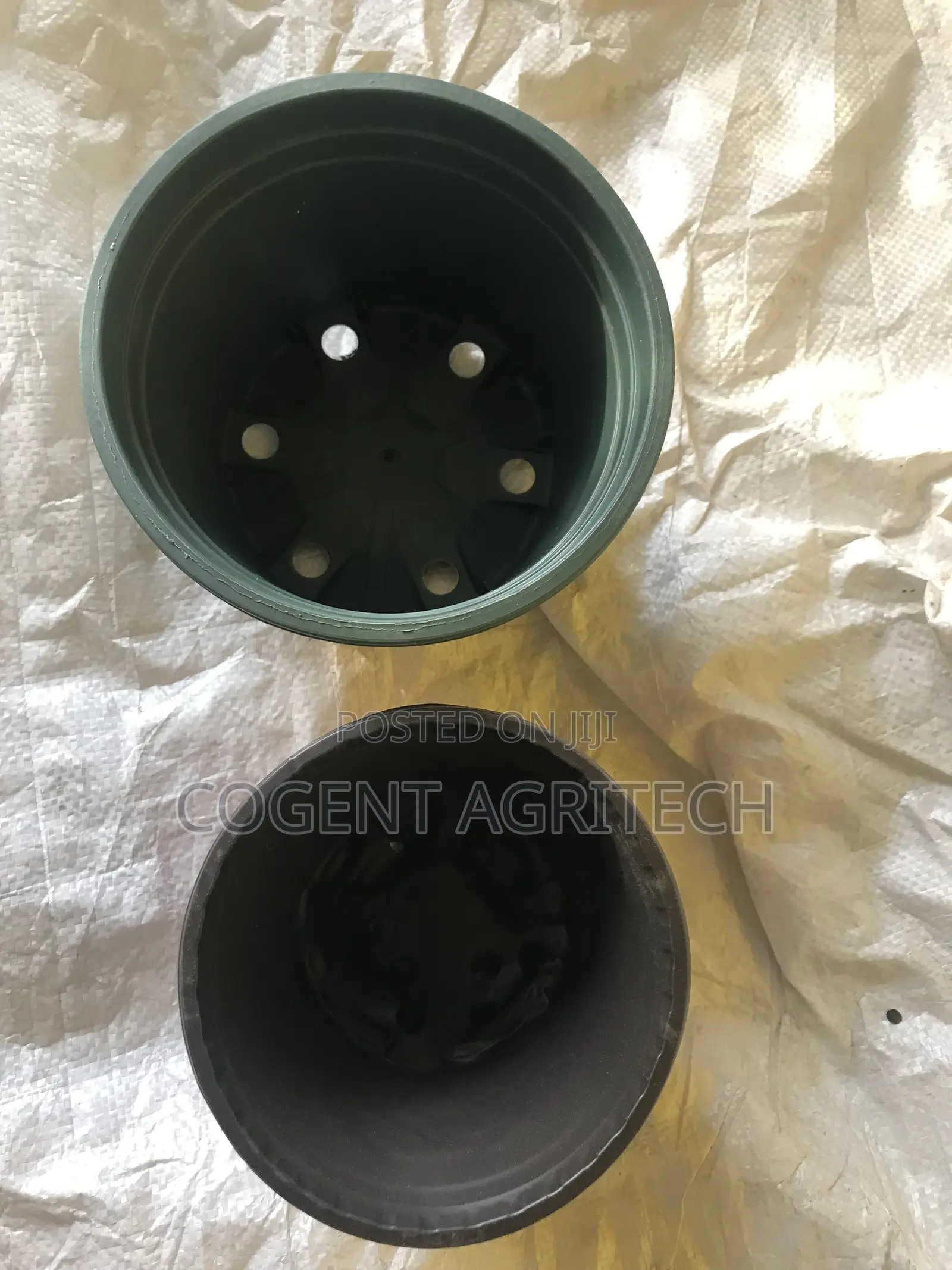 Vegetable Grow Pots (Small Size)
