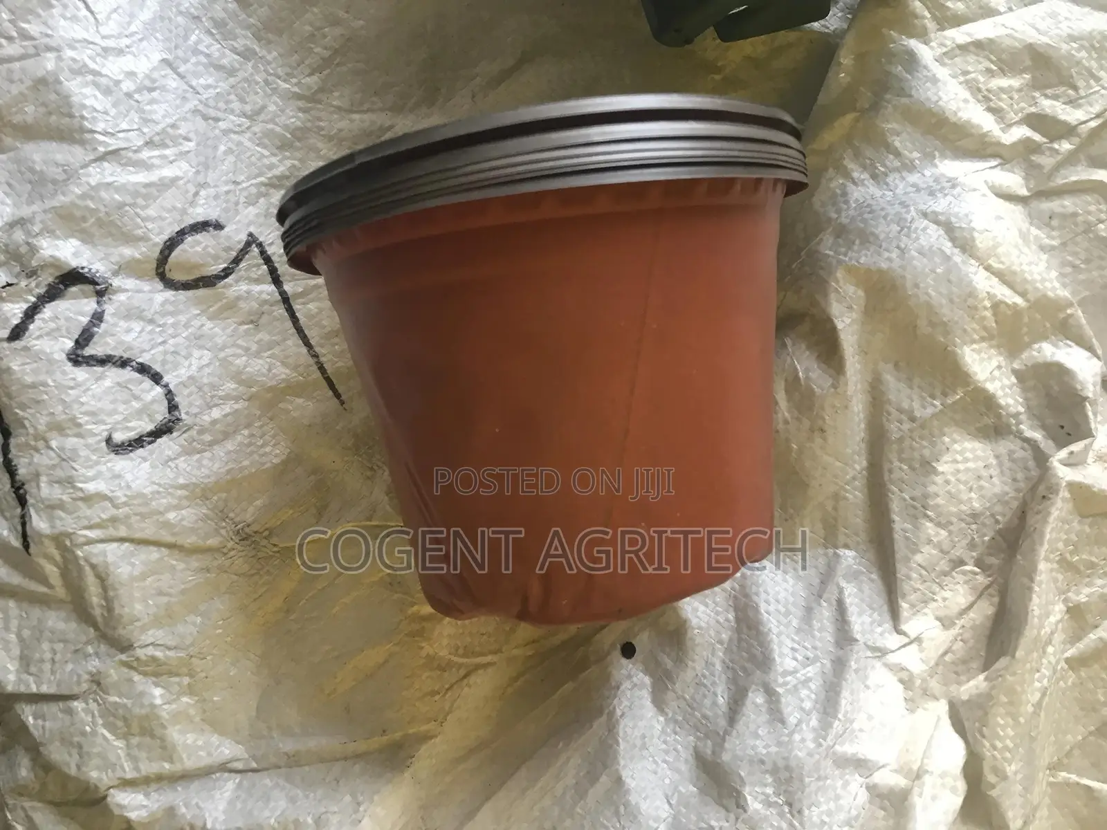 Vegetable Grow Pots (Small Size)