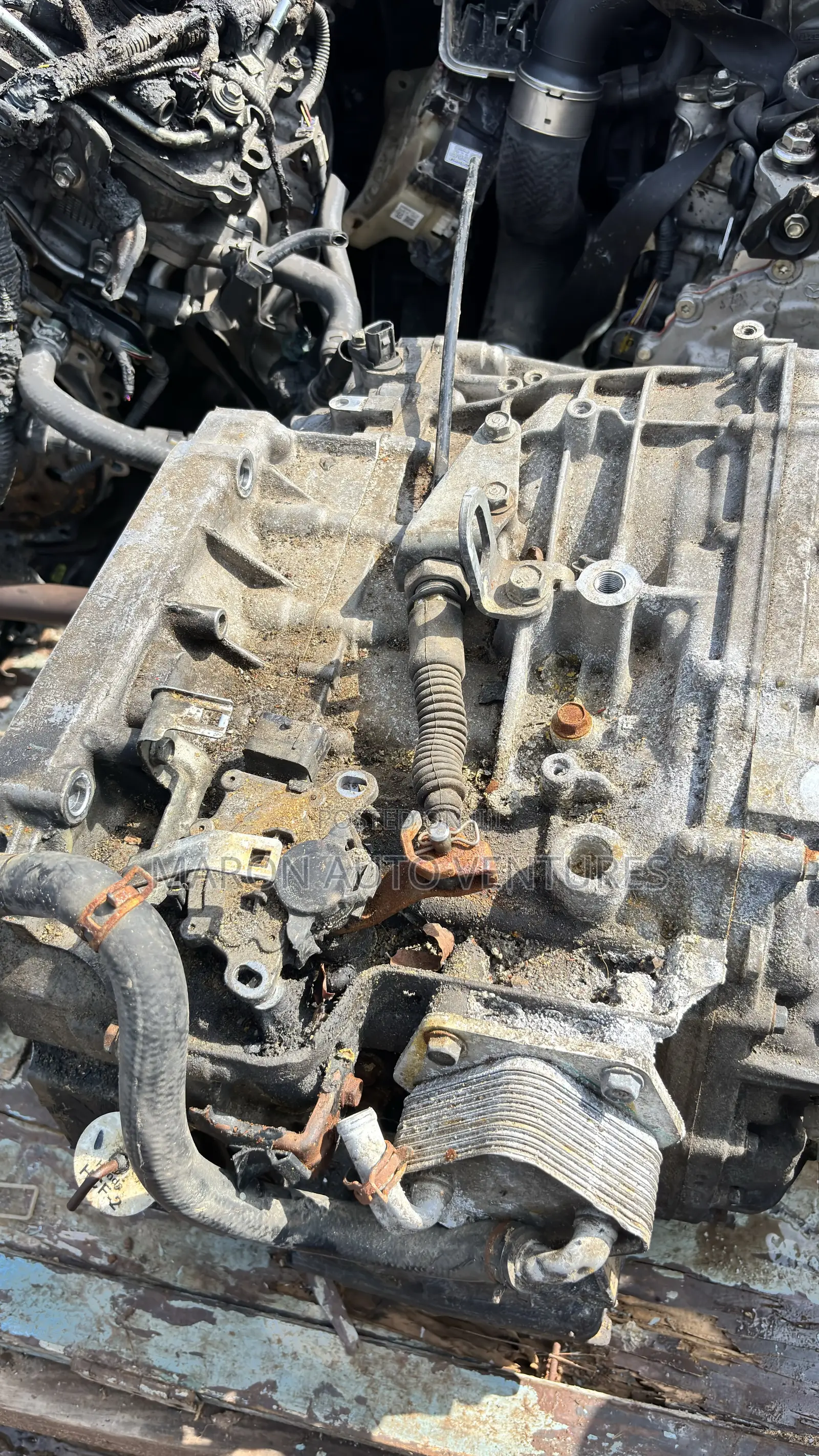 2015-16 Honda Accord Transmission