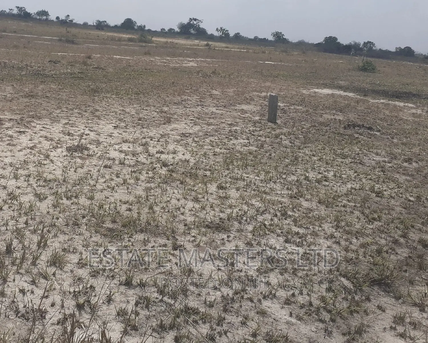 Invest in Land and Reap the Benefits