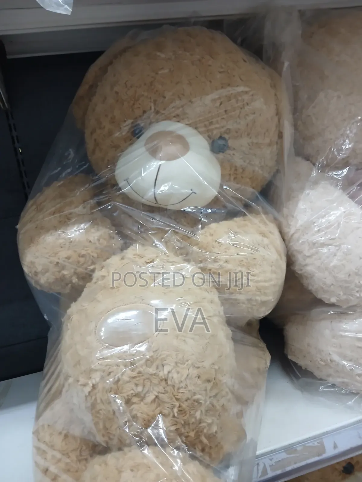 Teddy Bear