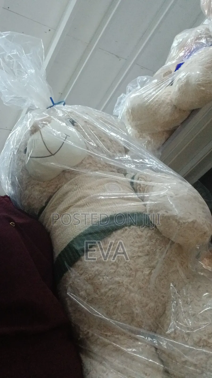 Teddy Bear