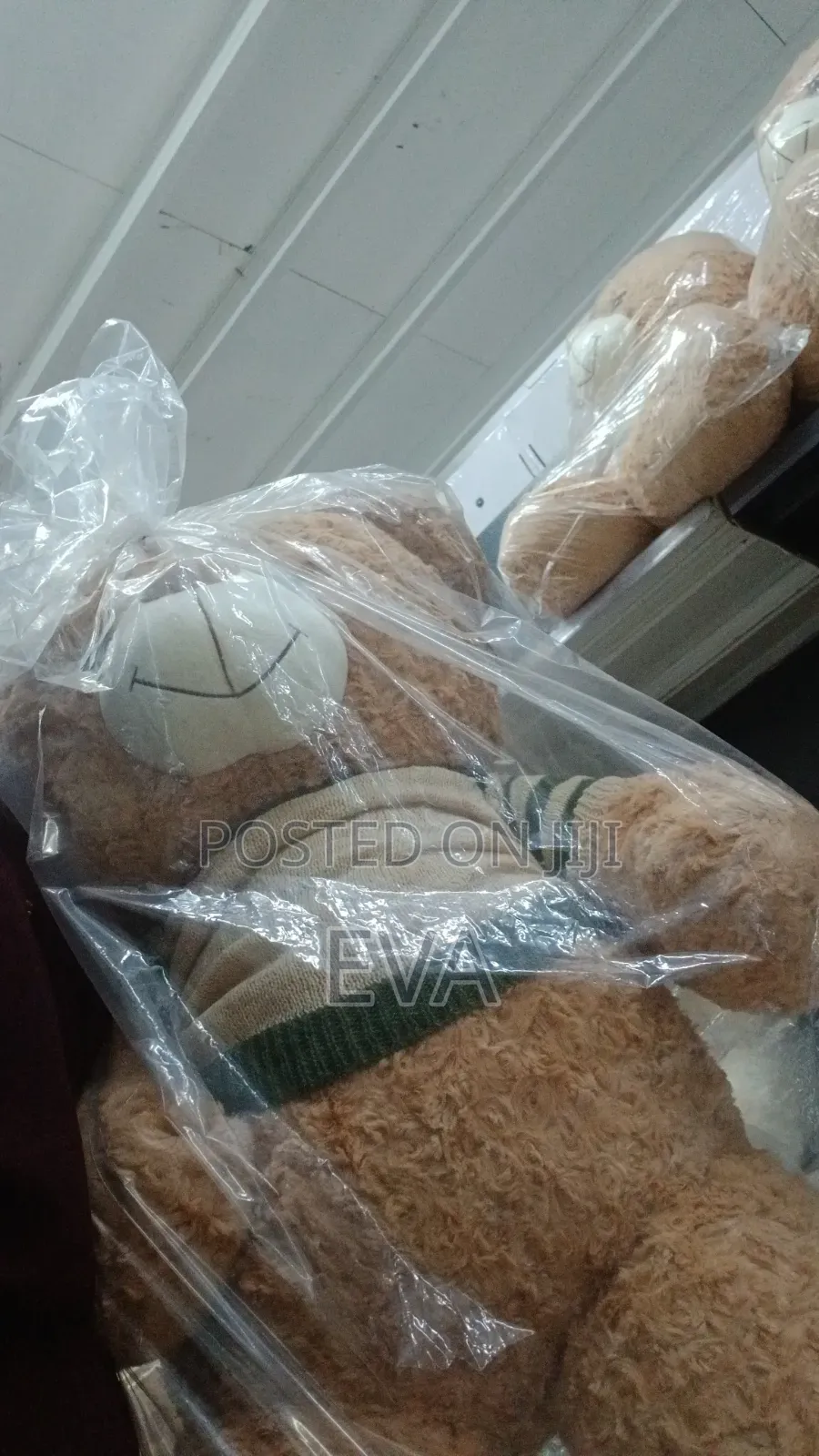 Teddy Bear