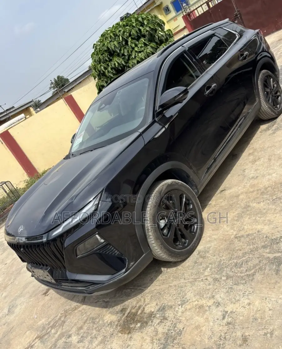 Dongfeng Glory 2023 Black