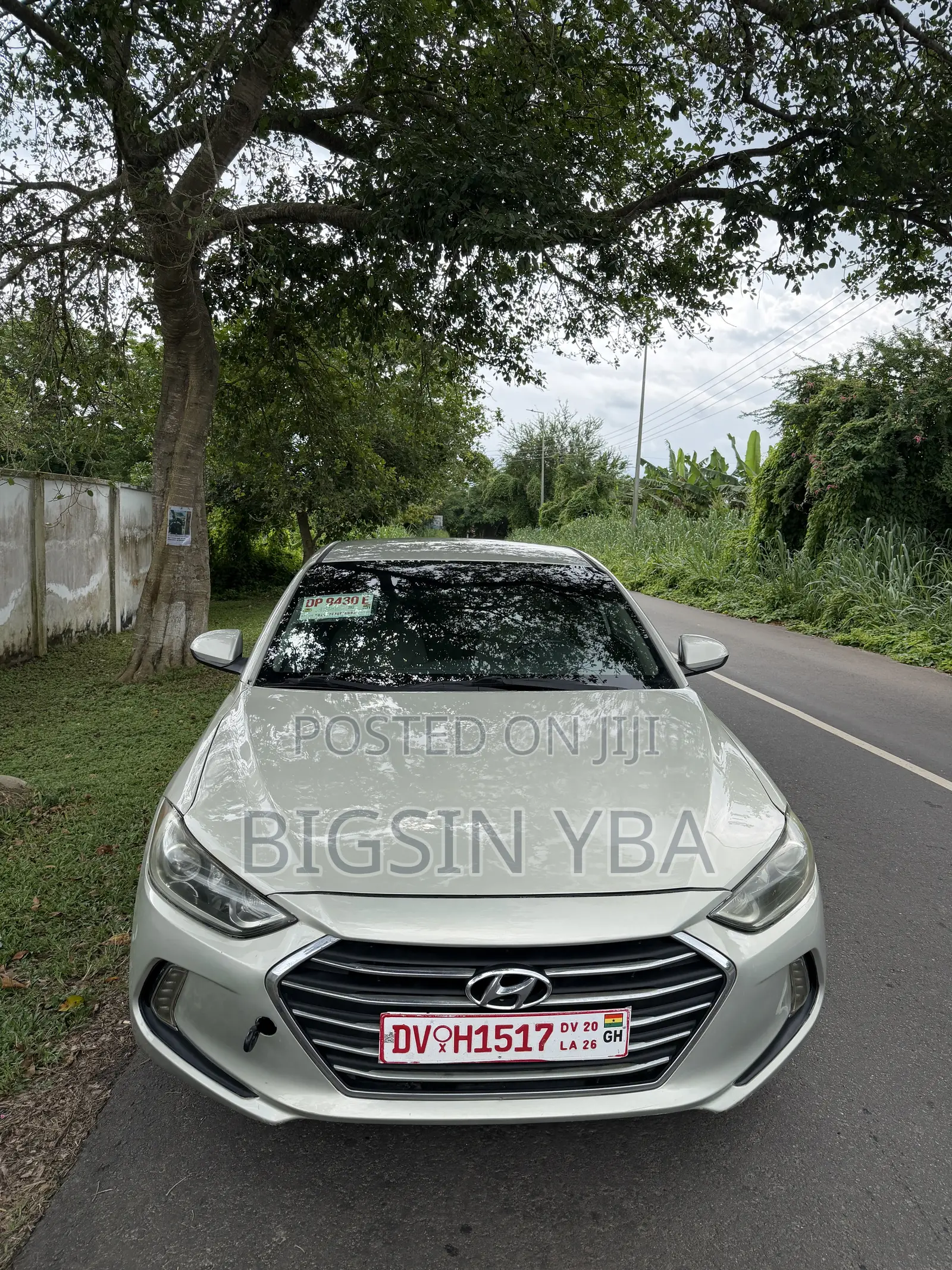 Hyundai Elantra SE Sedan FWD (2.0L 4cyl 6M) 2017 Green