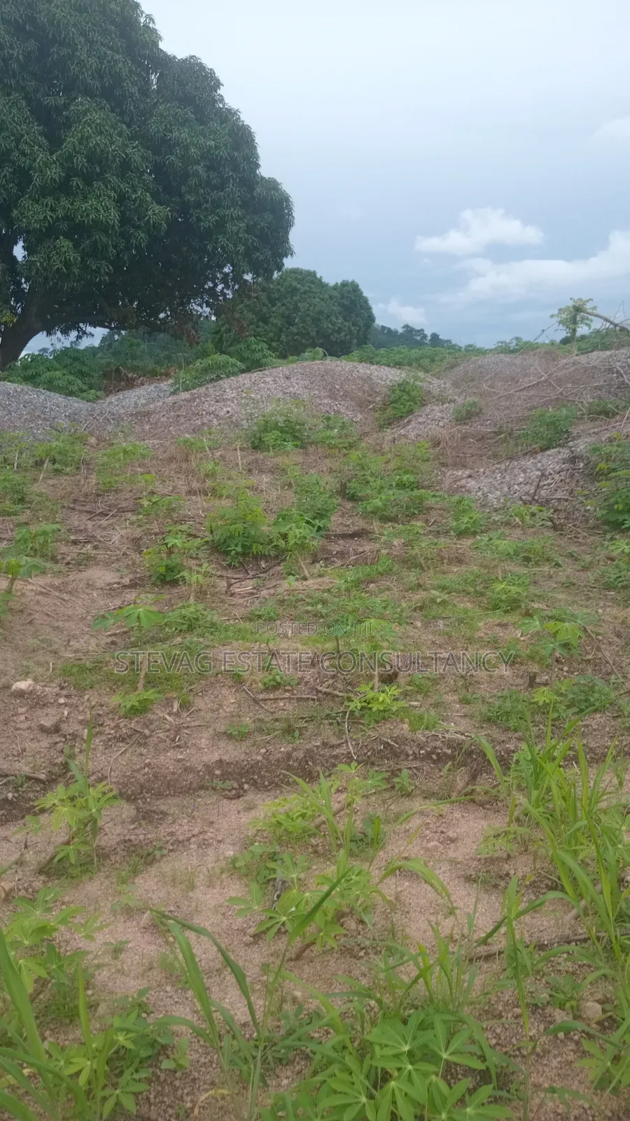 5plots of Land Available for Sale at Kasoa Adawukwa