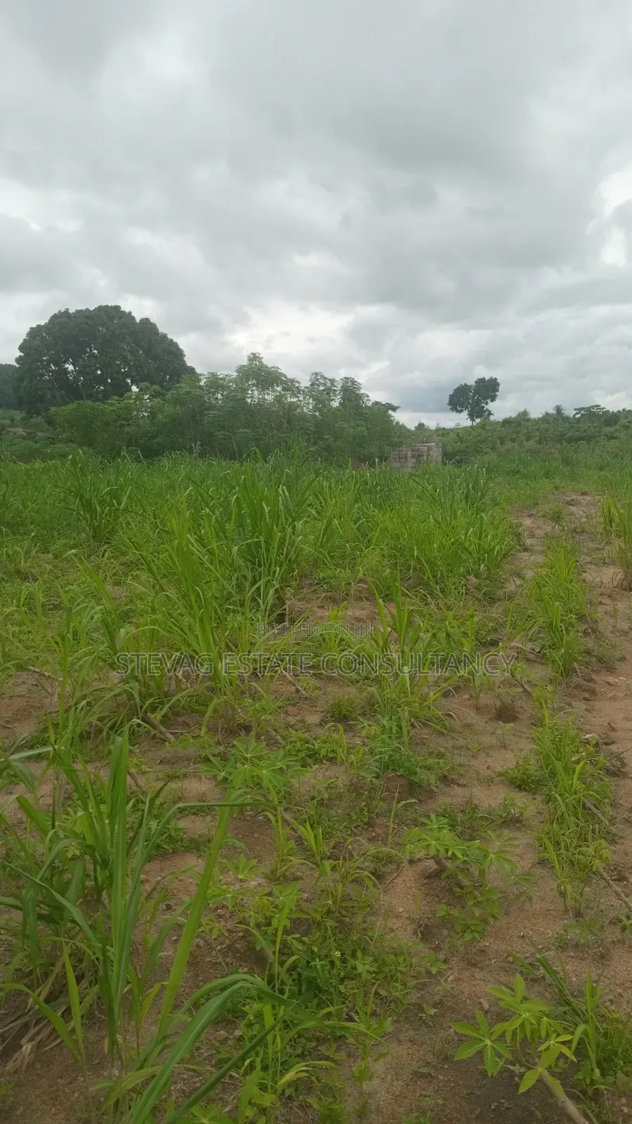5plots of Land Available for Sale at Kasoa Adawukwa
