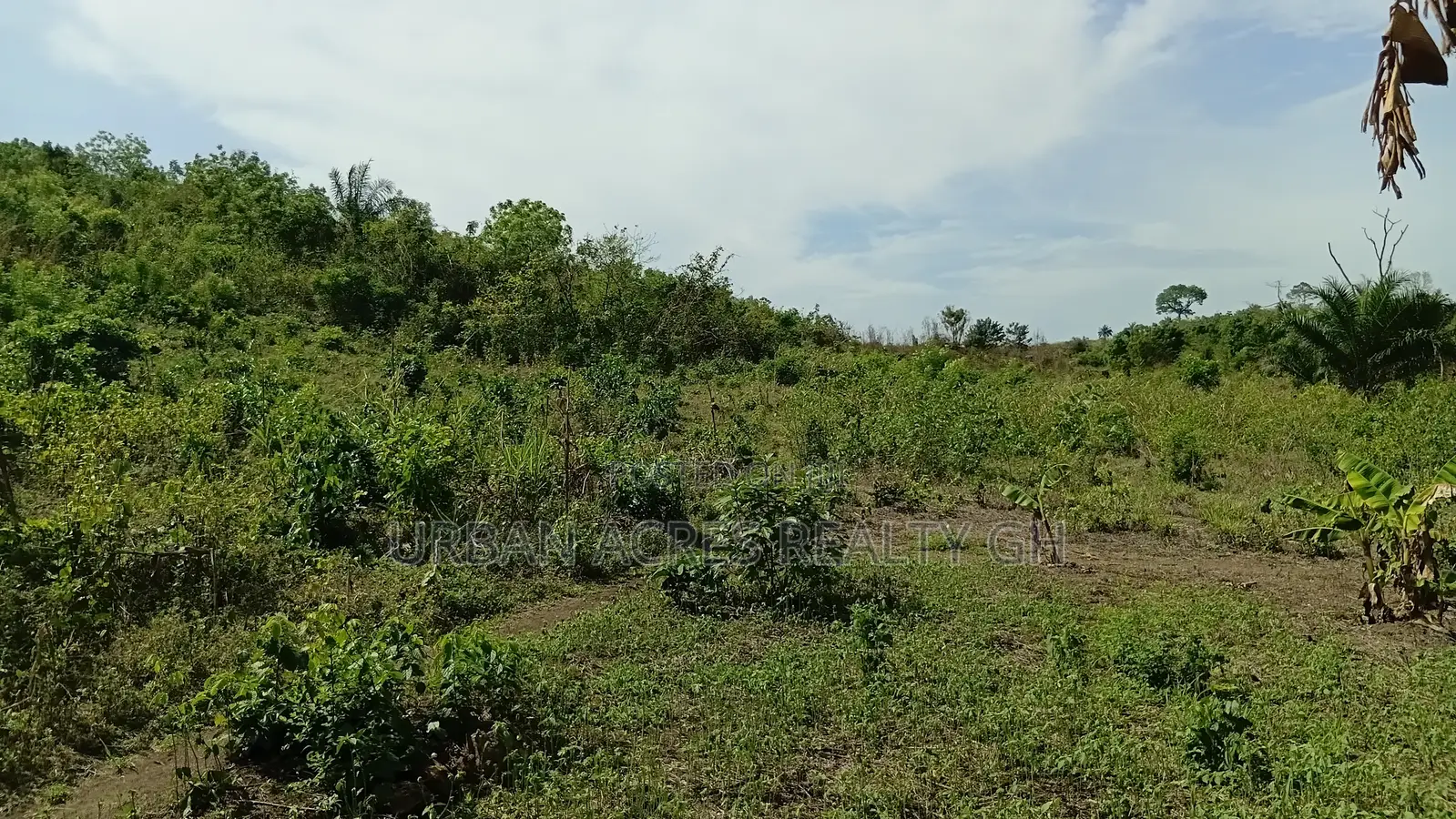 Central Region, Mankessim (Nkwanta) _ 49.69 Acres Mixed-Use Land