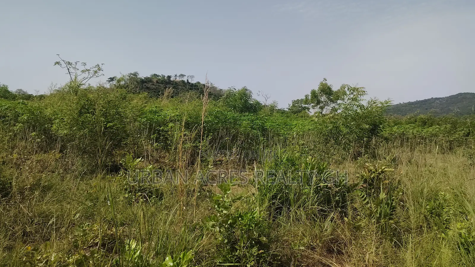 Central Region, Mankessim (Nkwanta) _ 49.69 Acres Mixed-Use Land