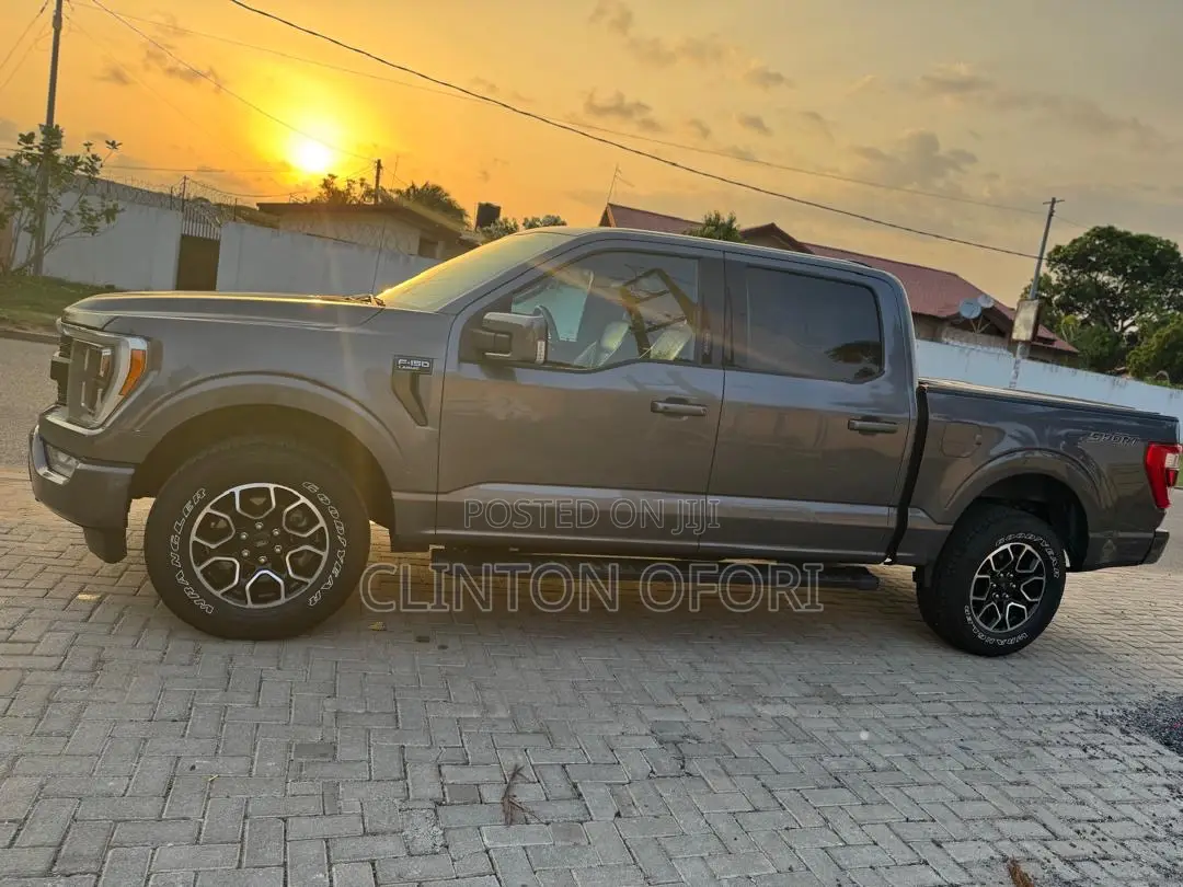 Ford F-150 LARIAT 2021 Gray