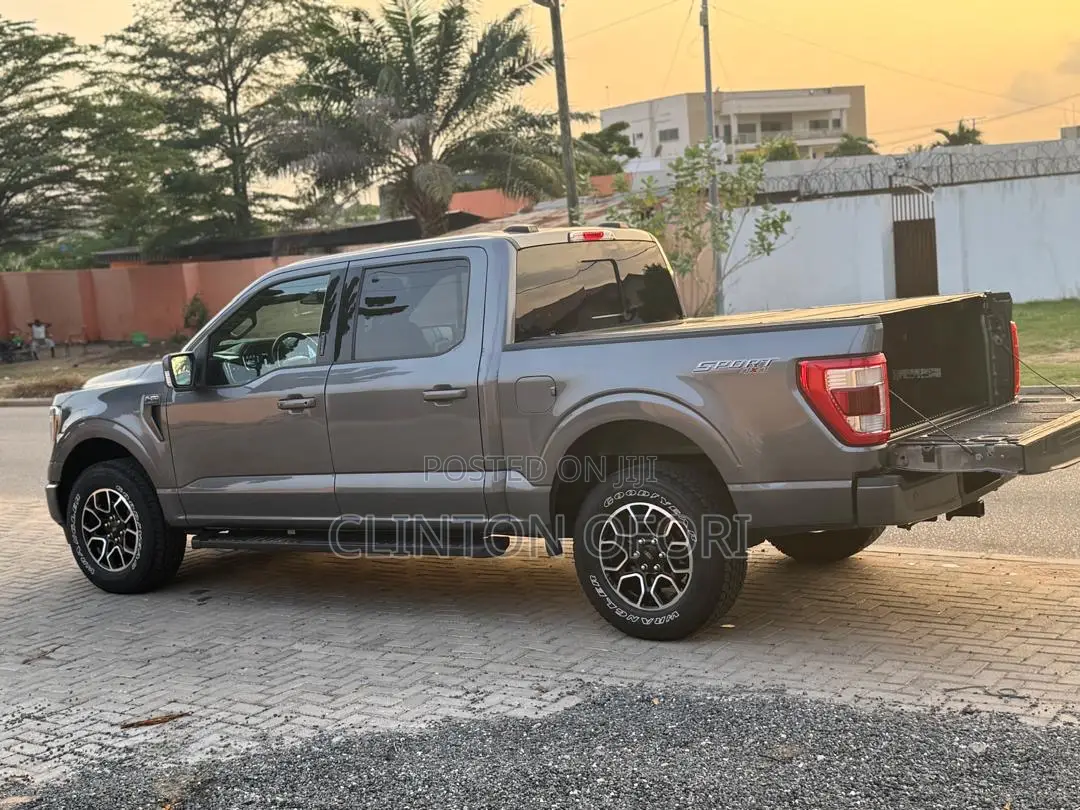 Ford F-150 LARIAT 2021 Gray