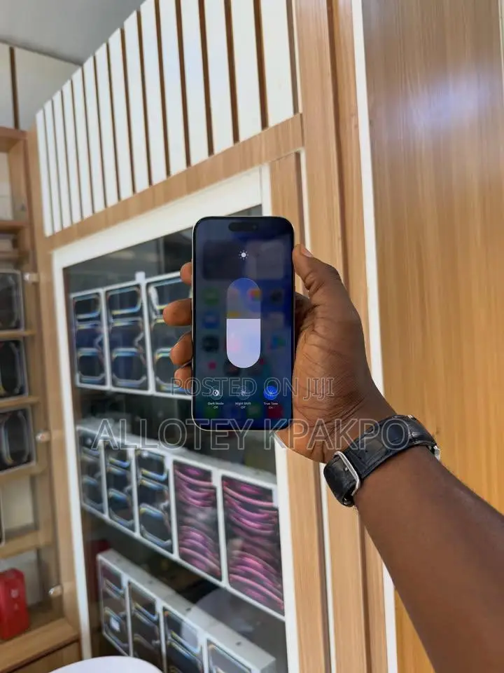 Apple iPhone 15 Pro Max 256 GB Silver